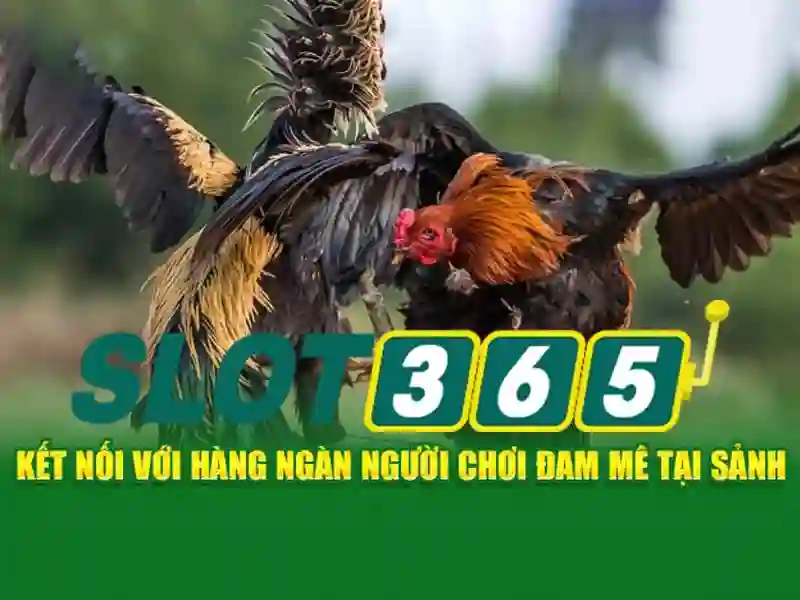 SLOT365 - Tận Hưởng Thiên Đường Cá Cược Slot Đẳng Cấp ...