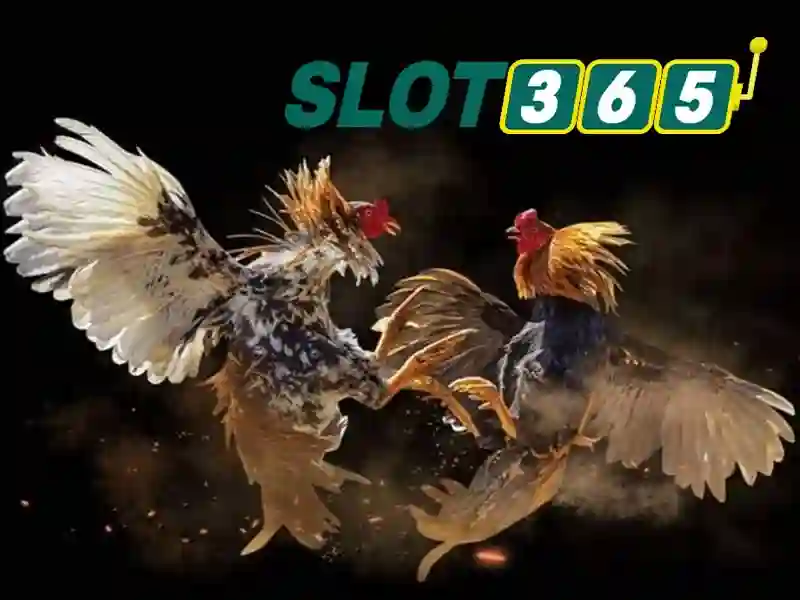 Slot365 bị chặn: Đánh giá, trải nghiệm và thông tin Slot365