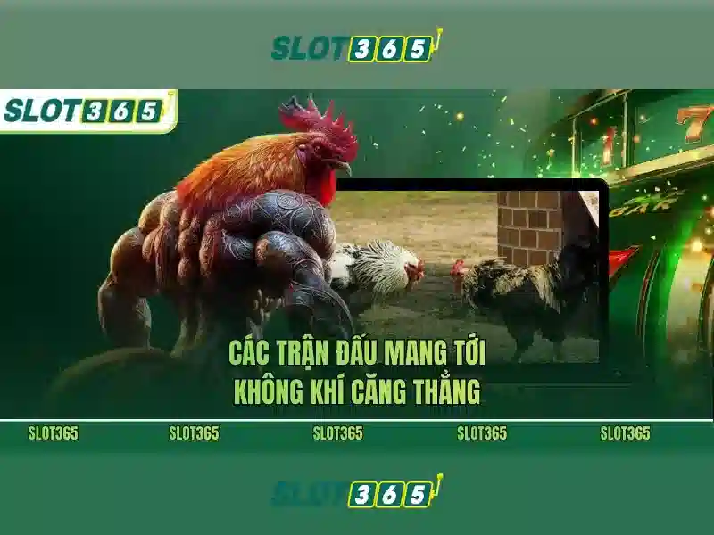 Slot365: Đánh giá nền tảng slot trực tuyến nổi bật
