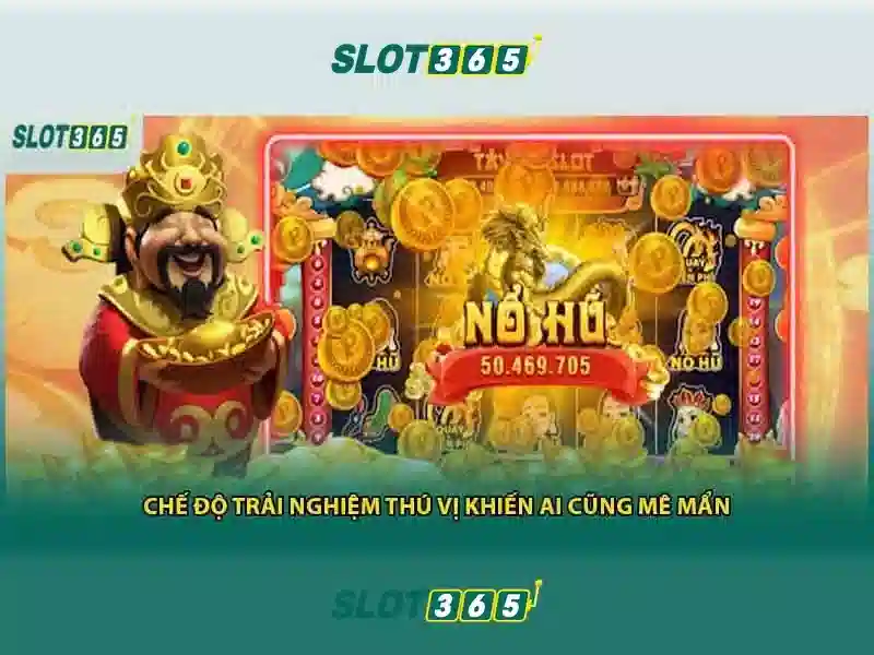 Trải nghiệm người dùng