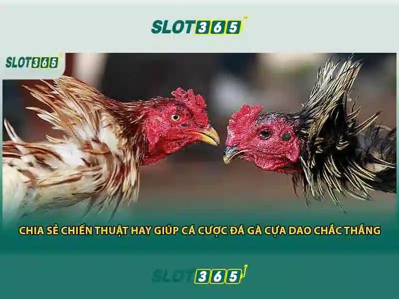 Slot365: Khám phá nền tảng trò chơi quay số trực tuyến