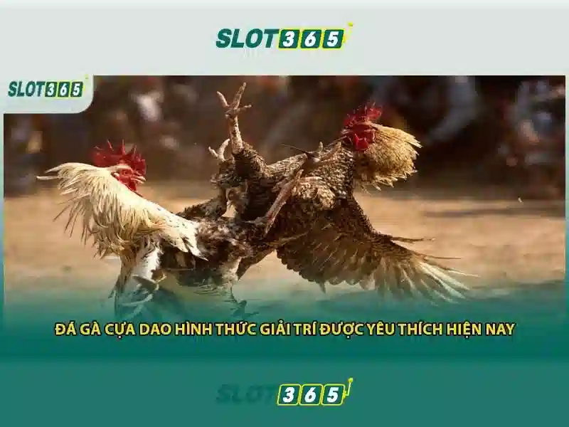 Slot365: Đánh giá nền tảng slot trực tuyến