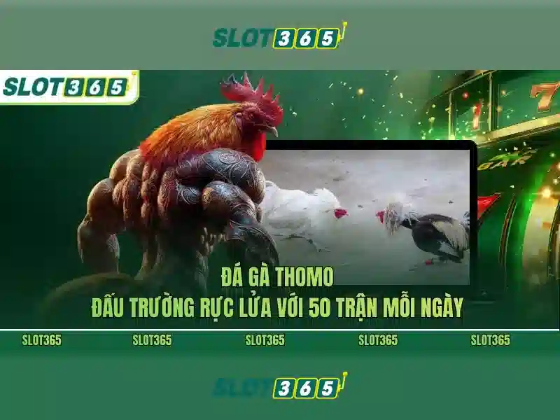 Slot365 - Nền tảng Slot Trực tuyến Hàng đầu