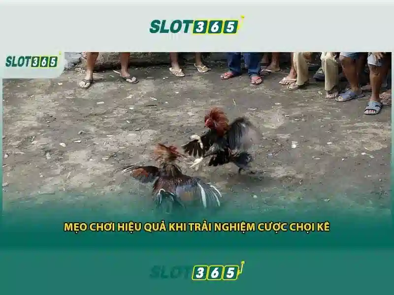 Slot365 rút tiền - Trải nghiệm an toàn và nhanh chóng