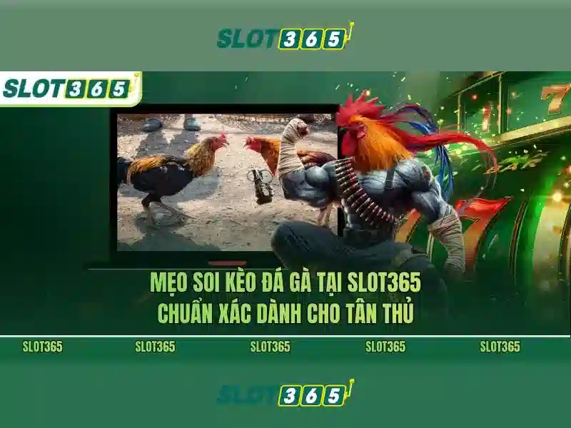 Trò chơi và tính năng nổi bật