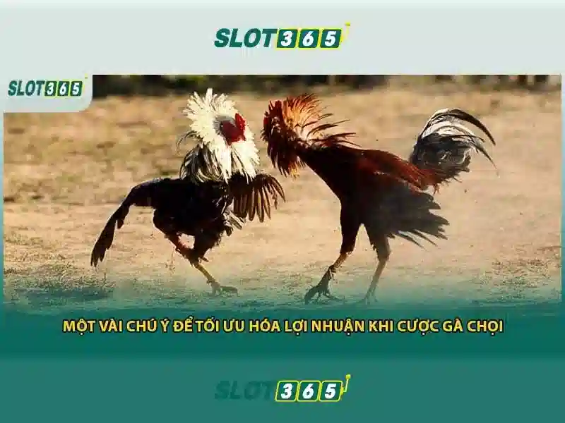 Nguồn gốc và sứ mệnh của link Slot365