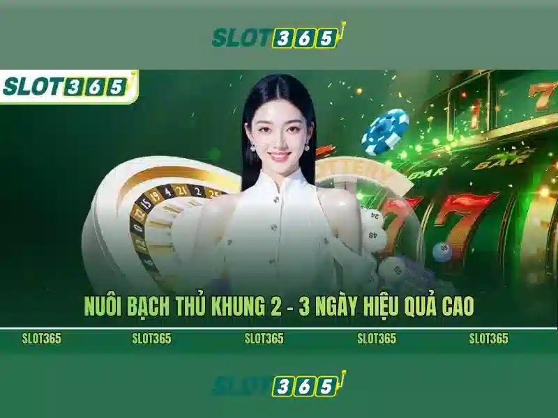 Slot365: Tổng quan về trải nghiệm chơi slot trực tuyến
