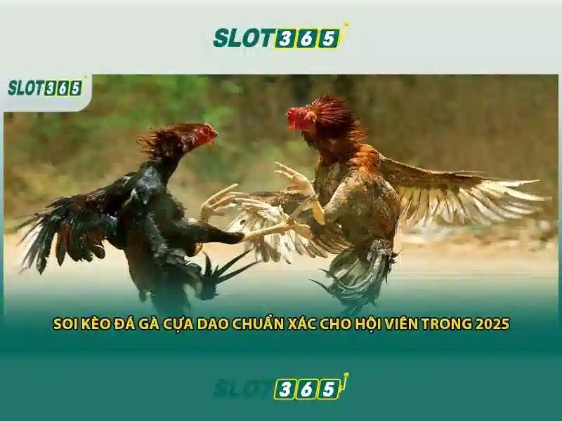 Slot365: Trải nghiệm trò chơi xèng trực tuyến hàng đầu