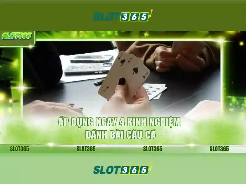 Giao diện và trải nghiệm người dùng