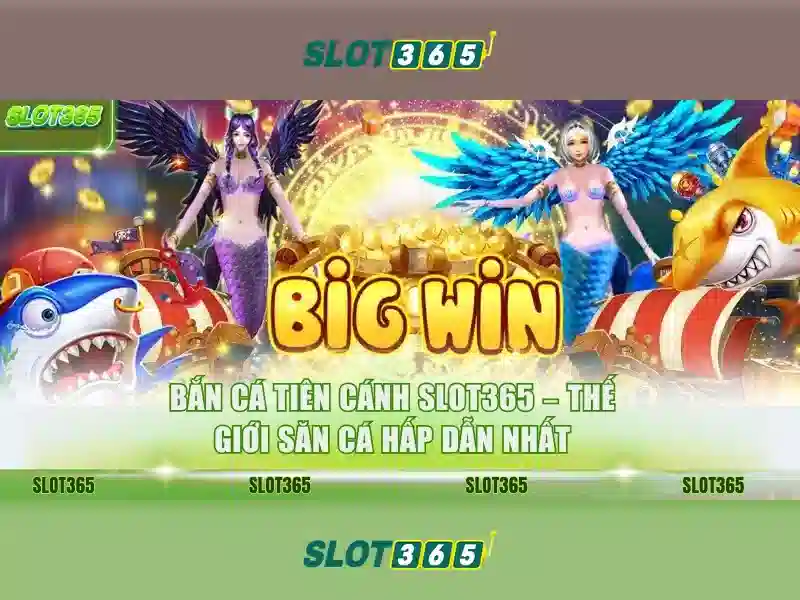 Slot365: Trải nghiệm chơi slot hàng đầu tại Việt Nam