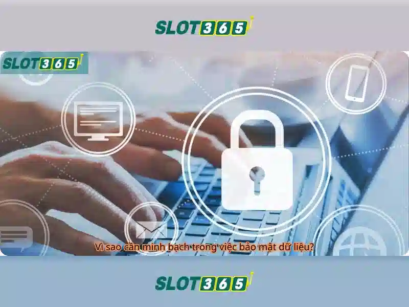 Slot365 — Trải nghiệm chơi slot trực tuyến đáng tin cậy