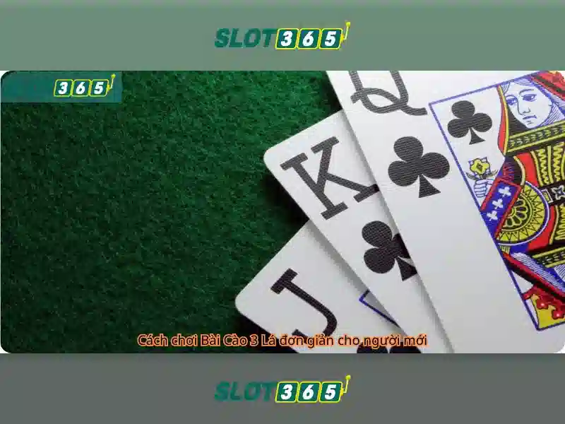 Slot365: Đánh giá và Hướng dẫn chơi xèng trực tuyến