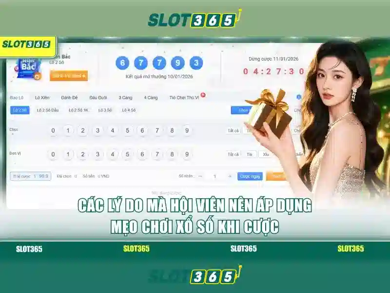 Slot365 - Nơi giải trí casino trực tuyến hàng đầu