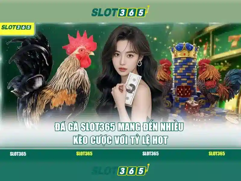 Slot365 - Trải nghiệm xèng trực tuyến an toàn và đáng tin cậy