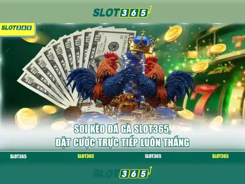 Slot365: trải nghiệm casino trực tuyến tối ưu tại Việt Nam