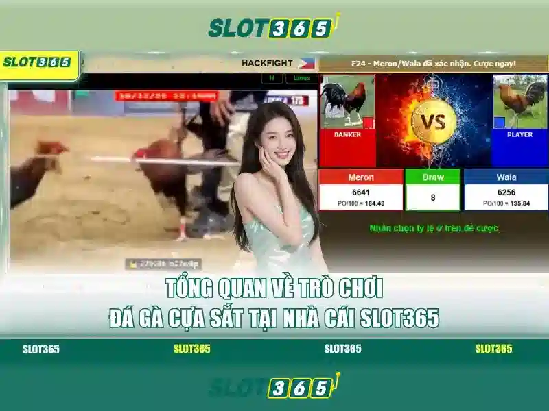 An toàn và thanh toán