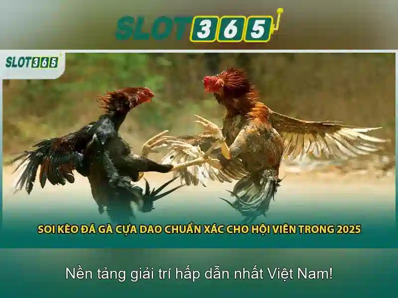 Slot365: Tổng quan về sòng bạc trực tuyến uy tín