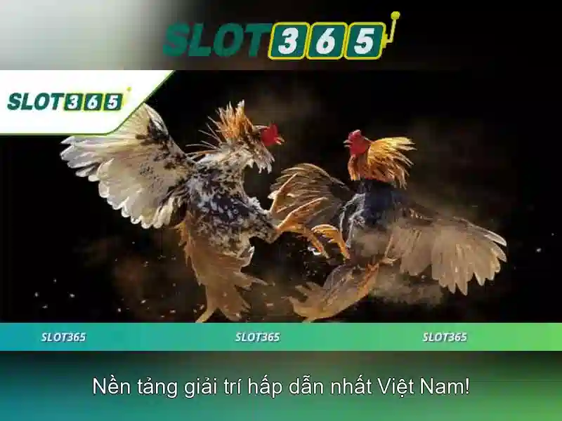 Các trò chơi và chất lượng đồ họa