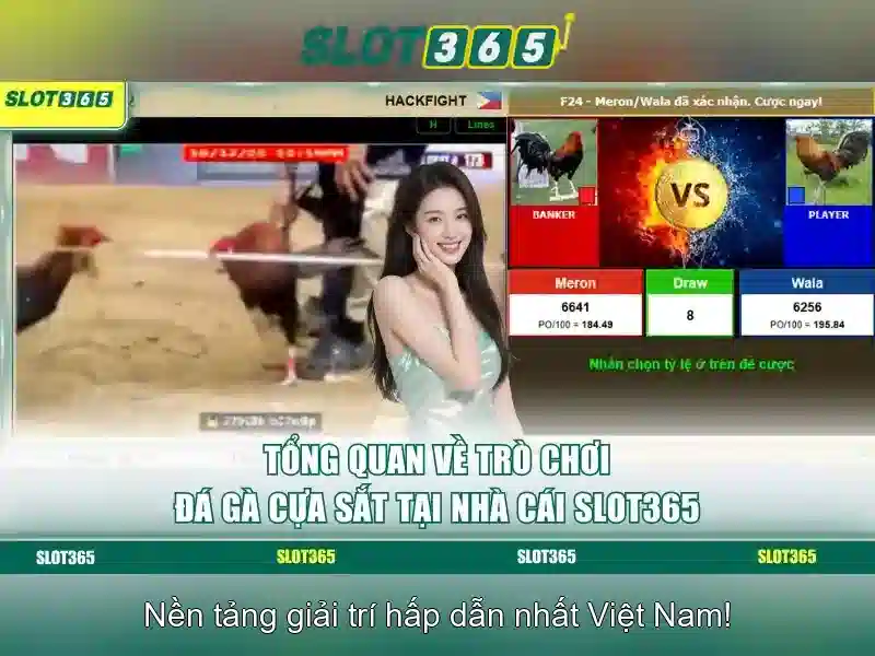Slot365: Đánh giá và hướng dẫn chơi slot trực tuyến