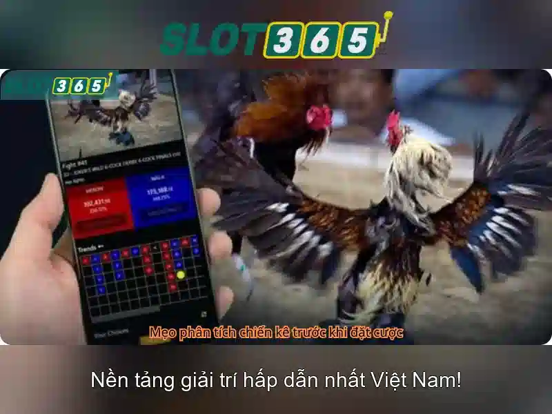 Lợi ích khi tham gia Slot365