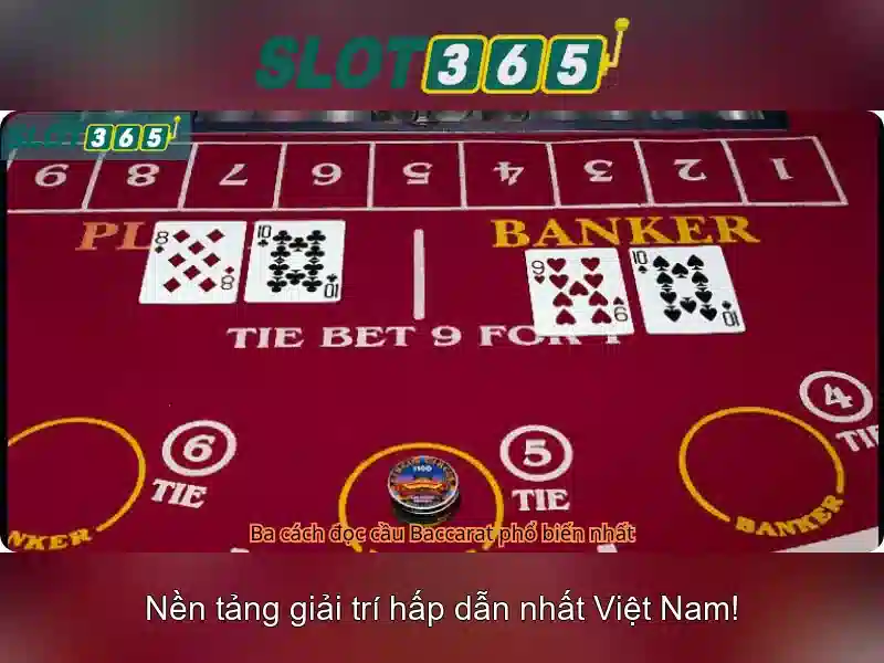 Slot365 - Tổng quan về sòng bạc trực tuyến và trải nghiệm chơi game