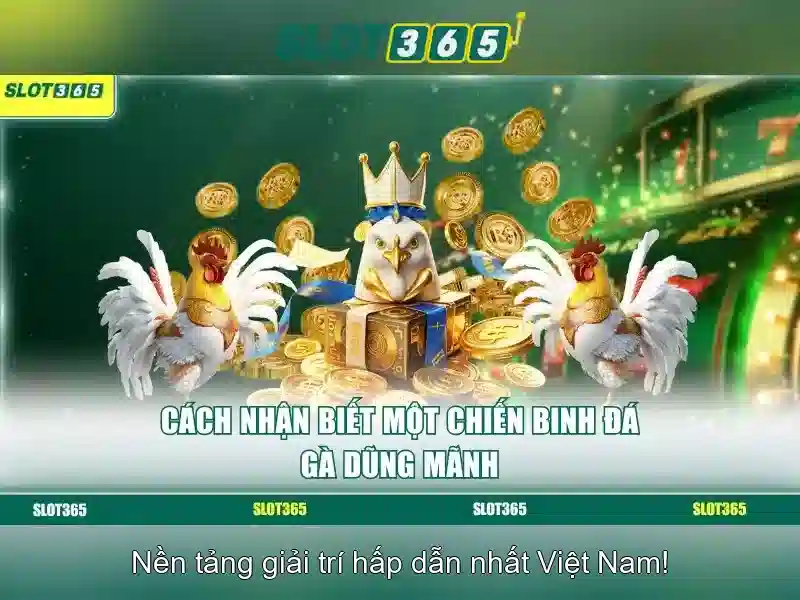 Slot365: Trải nghiệm máy slot trực tuyến tại Việt Nam