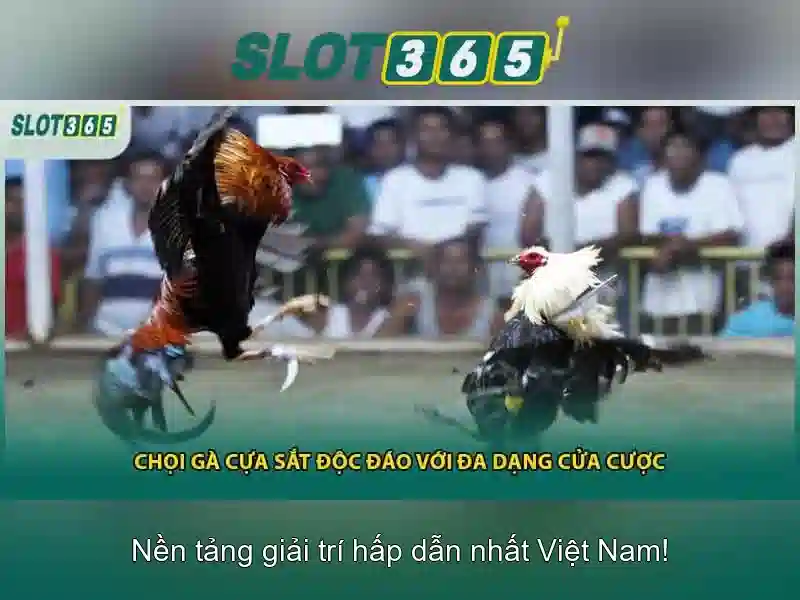 Slot365: Trải nghiệm trò chơi slot trực tuyến đỉnh cao