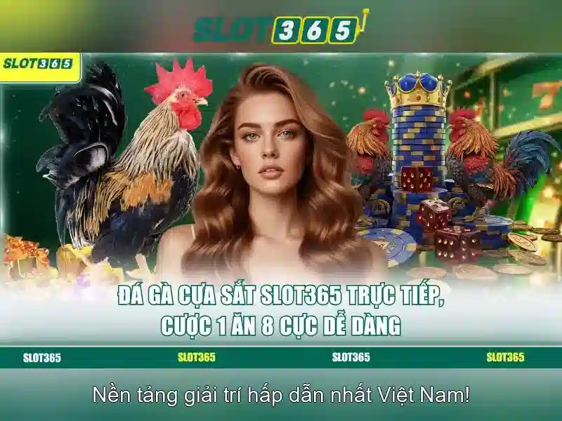 Trải nghiệm người chơi và khuyến mãi