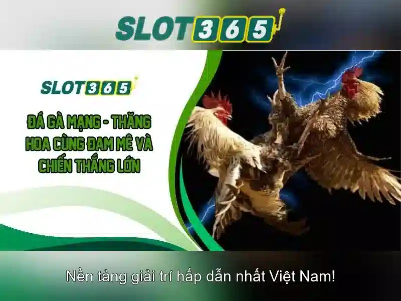 Trải nghiệm người dùng và giao diện