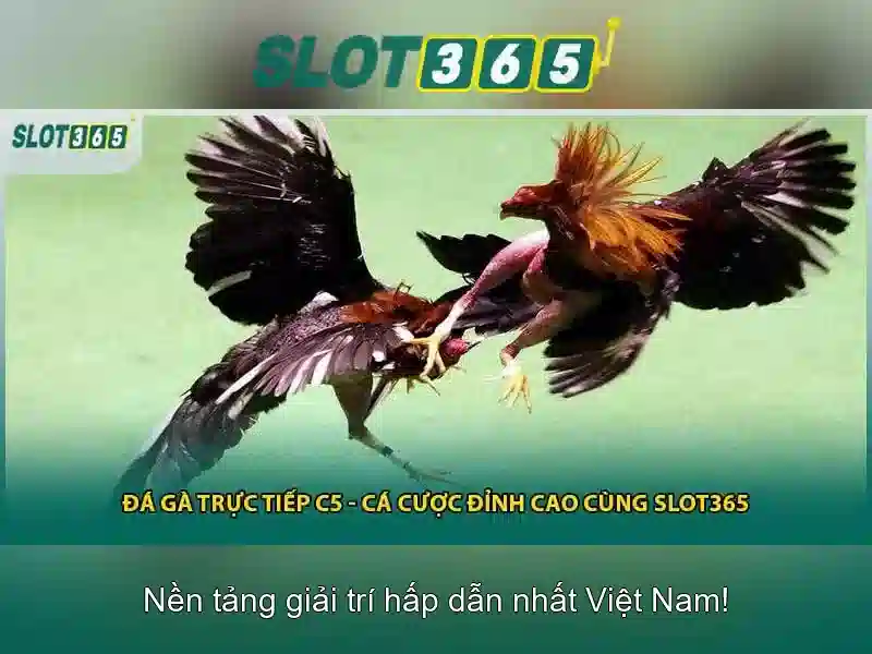 Khuyến mãi và chiến lược chơi slot