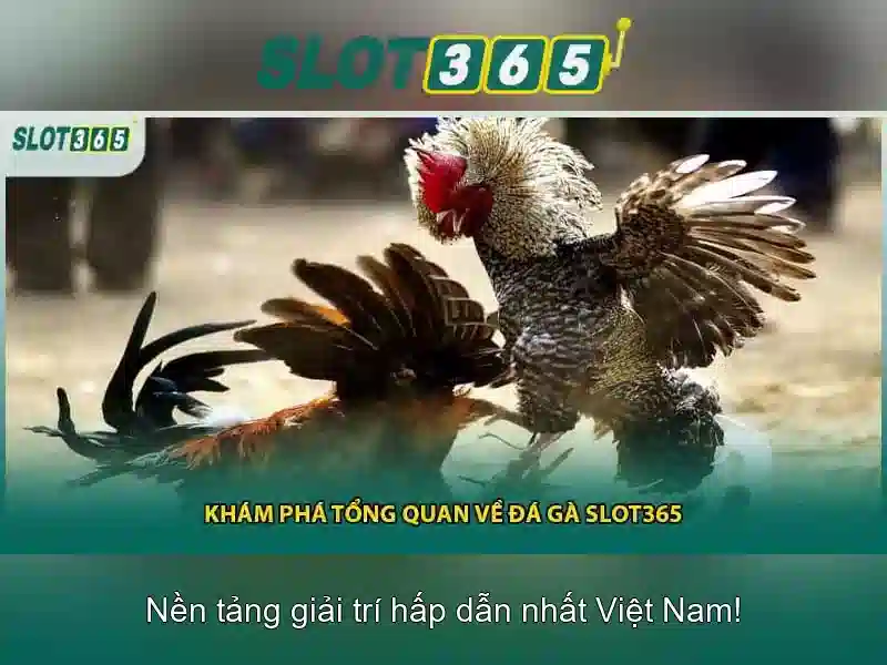 Slot365 - Trải nghiệm chơi casino trực tuyến an toàn và thú vị