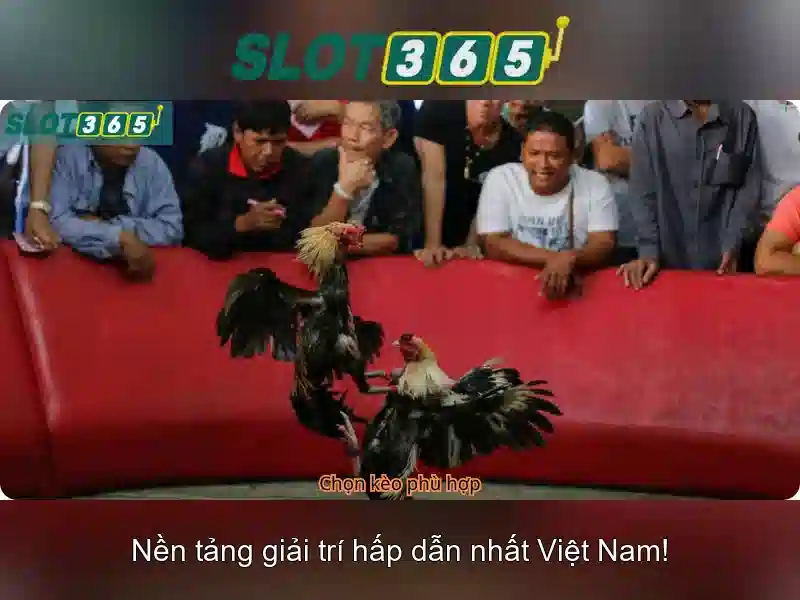 Slot365 - Nền tảng chơi slot trực tuyến hàng đầu