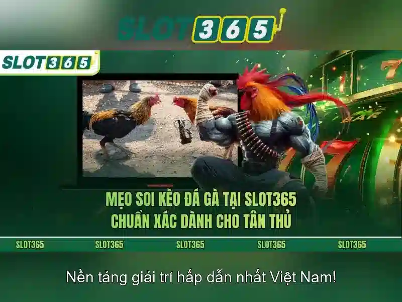 Slot365: Khám phá nền tảng máy xèng trực tuyến
