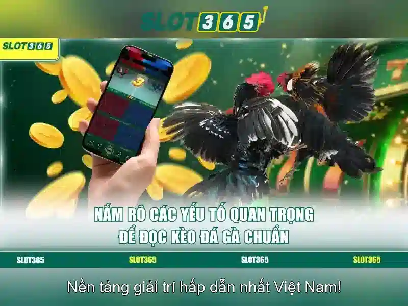 An toàn và đăng ký