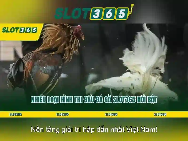 Slot365: Nền tảng slot trực tuyến hàng đầu cho trải nghiệm chơi game