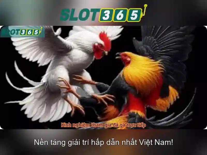 Slot365 - Trải nghiệm casino trực tuyến đa dạng