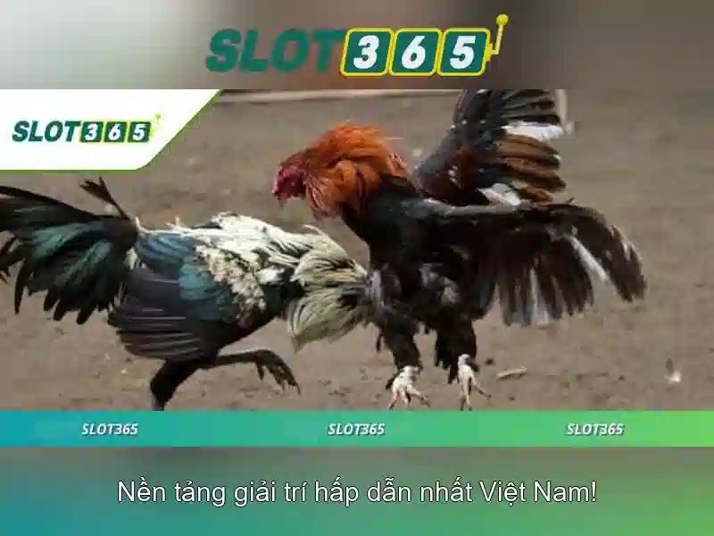 Thẻ thưởng và khuyến mãi
