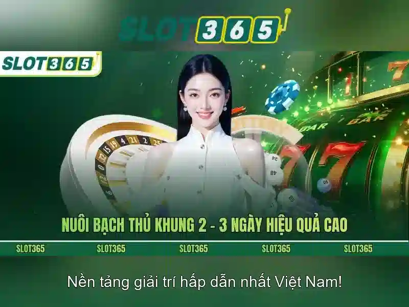 Tính năng nổi bật