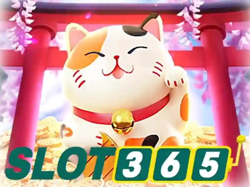 Tại sao chọn Slot365
