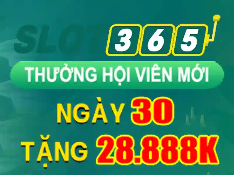 slot365 net – Khám phá nền tảng giải trí cùng Slot365 apk và slot365 link