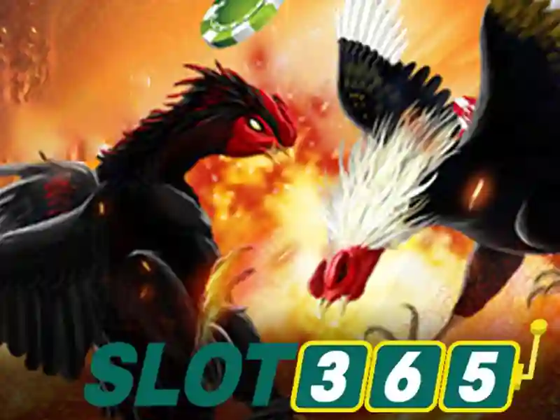 Tổng quan về live slot365