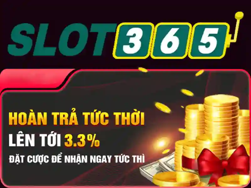 live slot365 – tổng quan và trải nghiệm với Slot365 app
