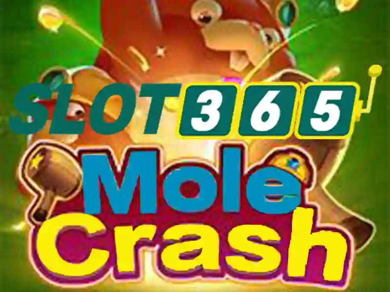 slot365 win – Trải nghiệm đỉnh cao và giá trị thương hiệu